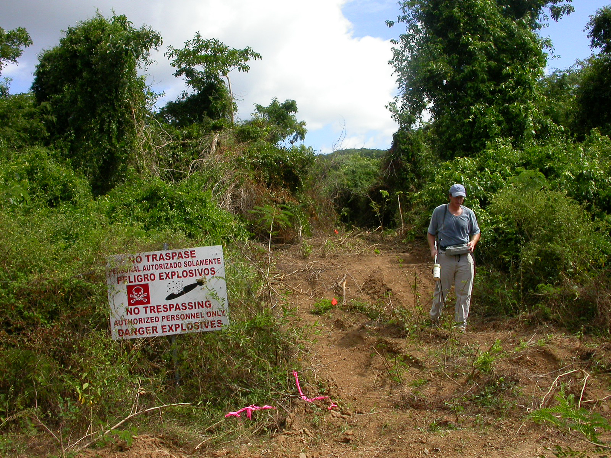 EM-31 Survey on Vieques Island