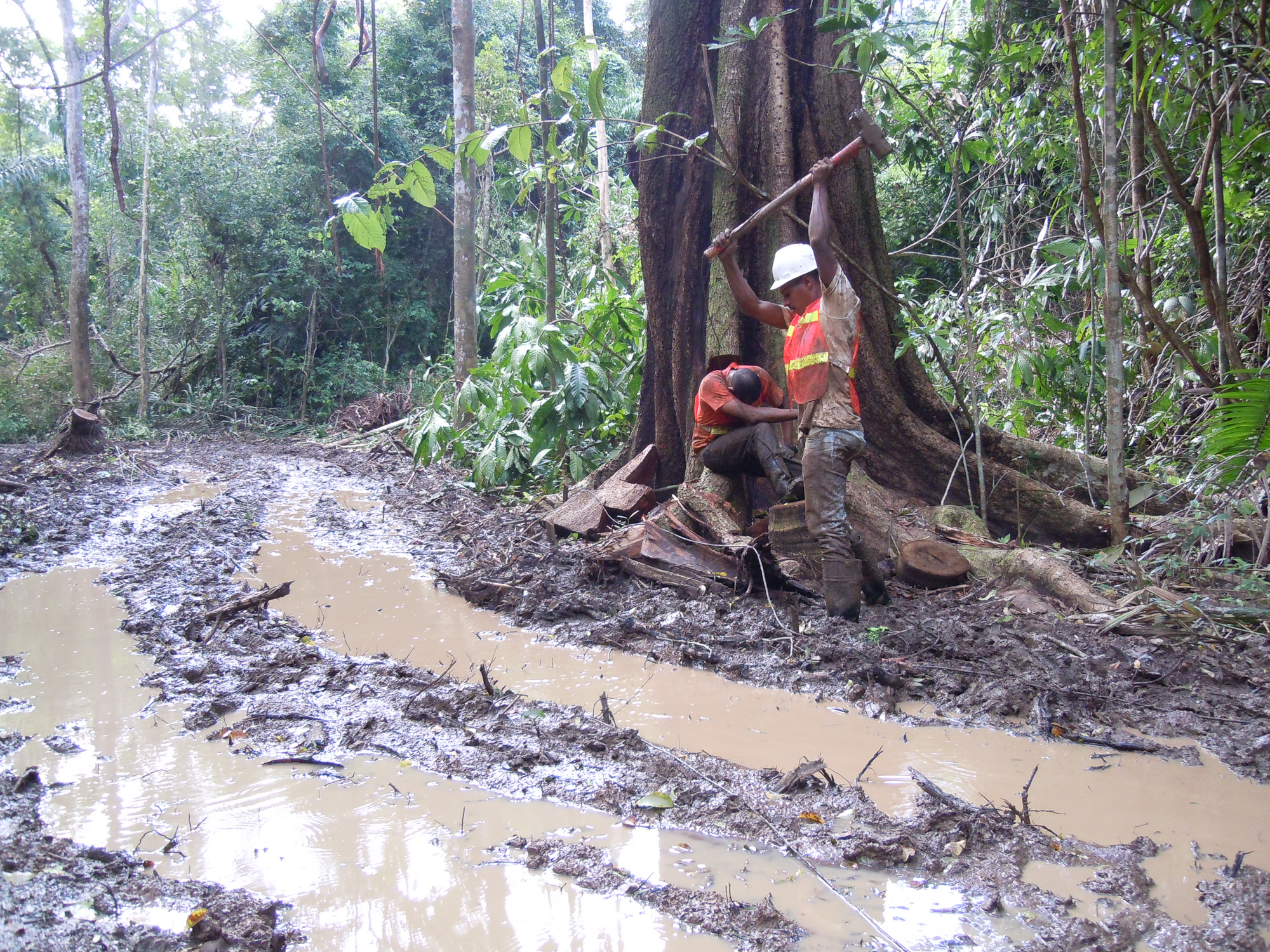 Seismic Line through the Jungles of Panama