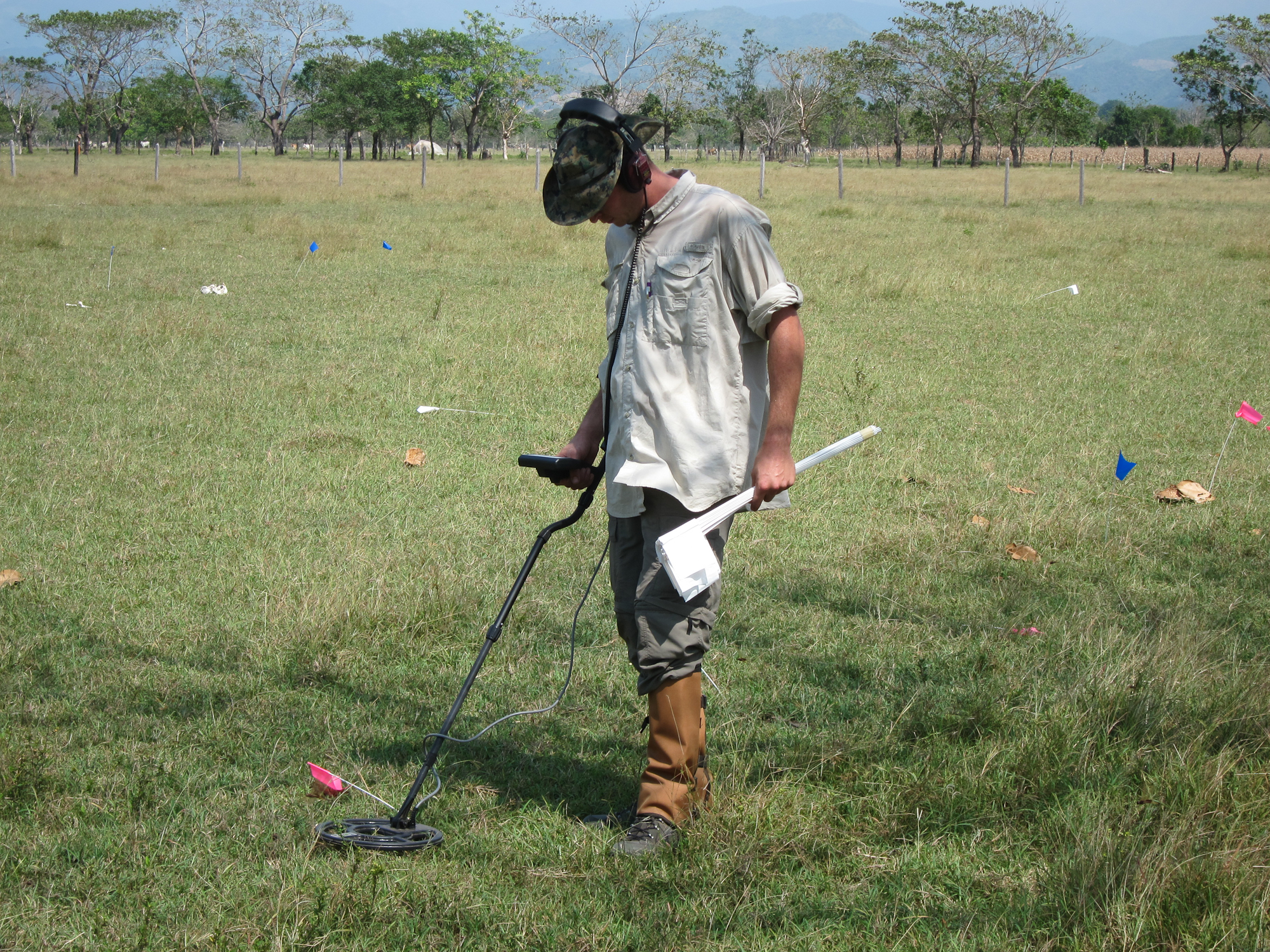 Using a hand held metal detector for shallow metallic artifacts