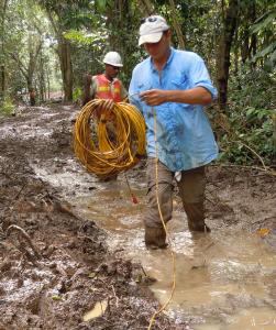 Laying of Seismic Cable in Jungles of Panama